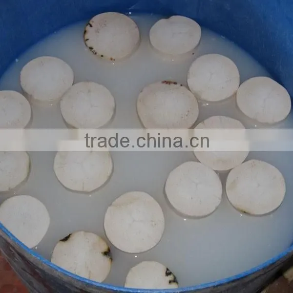 Fresh Young Coconut (Diamond/ Polish Shape) photo-3