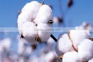 100% Recycled Cotton Yarn Open End Yarn. photo-3