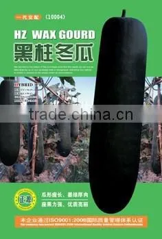 Black Gourd Big Vegetable Seeds High Quality Seeds photo-3