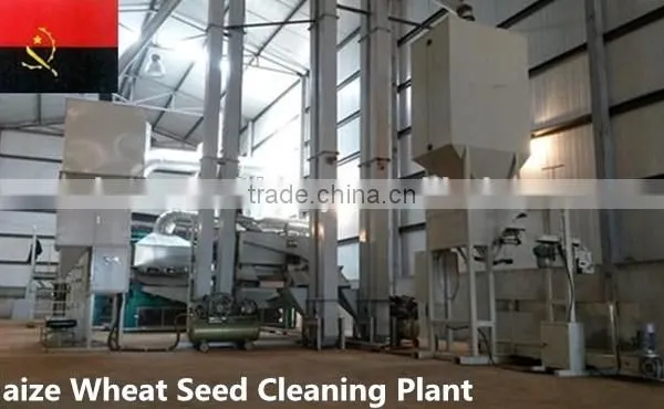 Wheat Barley Seed Processing Line photo-4