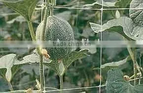 Climbing Plant Support Mesh Plastic Garden Net photo-3