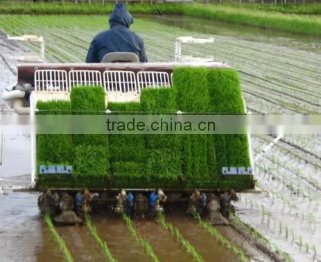 Kubota 6 Rows Rice Transplanter in India Place photo-5