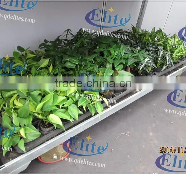 A39 Vegetable Seedings Nursery Trolley photo-3