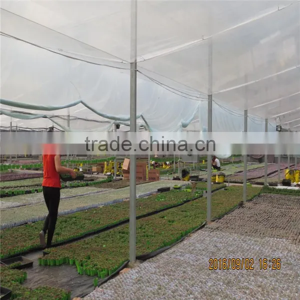 Multi-Span Agricultural Greenhouses photo-3