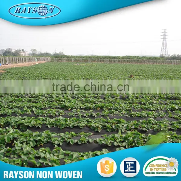 .Com Fabric Rolls Pp Spunbond Weed Control Nonwovens photo-2