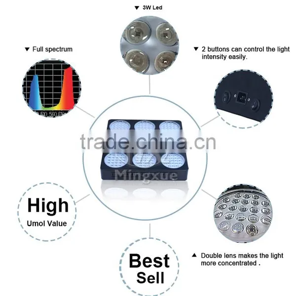 X-Grow Led Plant Grow Light Grow Light Led For Grow Room photo-5