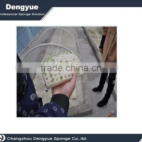 Agricultural Polyurethane High Densuty Fast Growing Plant Seed Foam/sponge Tray photo-4