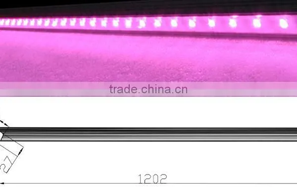 High Umol Led Grow Light Tube Led for Lettuce Hydroponic Vertical Farm 30w Waterproof photo-4