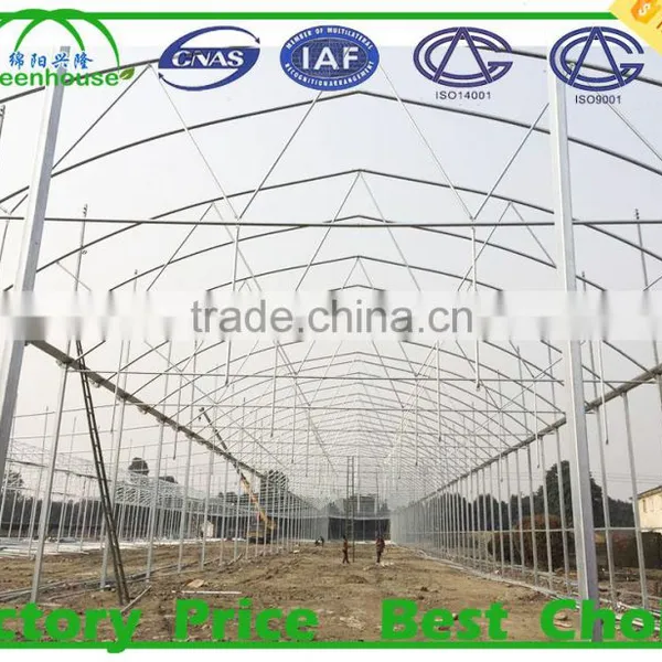One Stop Grande Greenhouse Type Multi Span Plastic Film Commercial Greenhouse for Sale photo-5