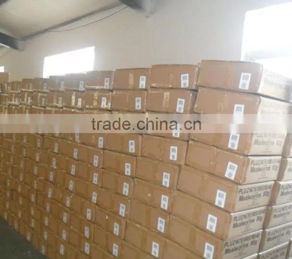 Import China Products Dried Shrimps ;Wholesale Dried Shrimps photo-5