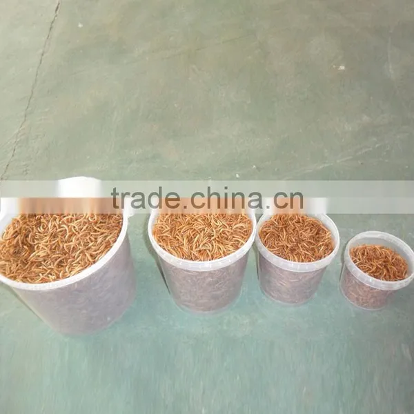 Pet Food Manufacturer and Exporter Dried Mealworms Crickets Grasshoppers photo-2