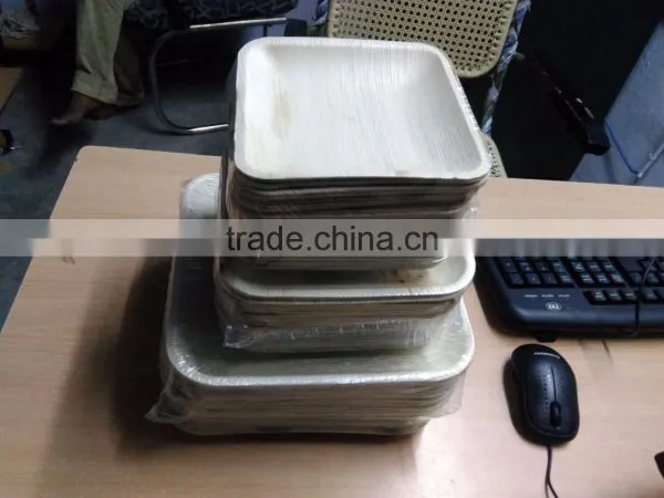 Bio Degradable Plates photo-2