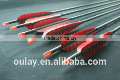 Carbon Arrows Spine 400 With Hunting 100gr Broadheads photo-3