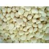 IQF Garlic Segment