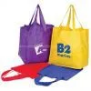 Non Woven Shopping Bag