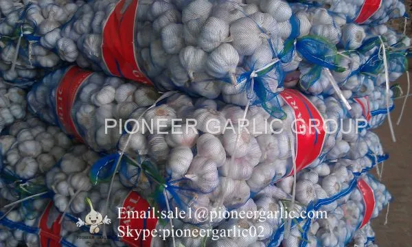 5.5cm And Up Red Garlic Loose Packing In 20kg Mesh Bag photo-4