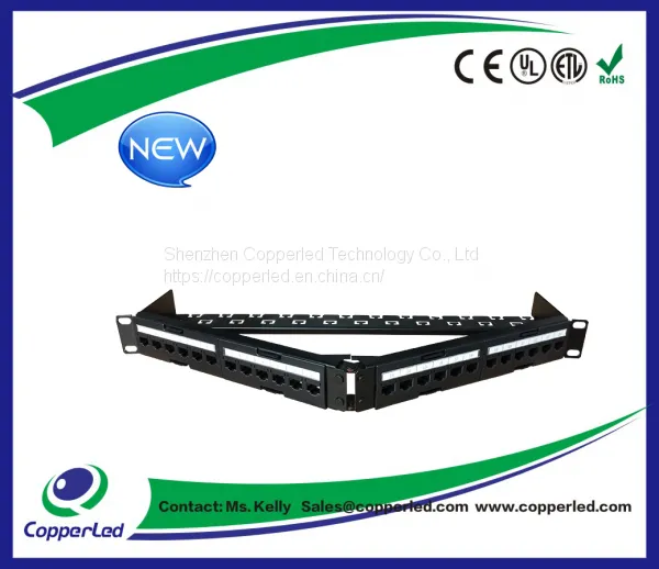 UTP Cat.6A 24Port angled Patch panel , 6 jacks in one Patch Panel