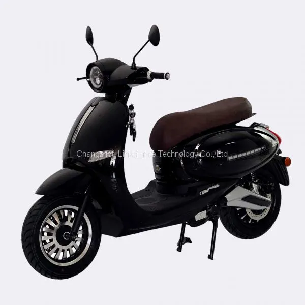 EEC COC L1e New European Popular Electric Scooter Ninja With Top Speed 45km/h Long Range