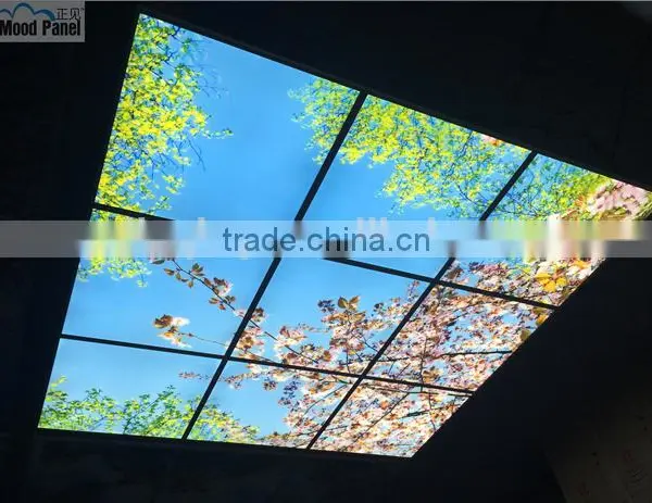 2015 Led Sky Ceiling Panel Blossom Image photo-4