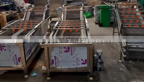 Latest Design Salad Leafy Vegetable Processing Washing Machine photo-3