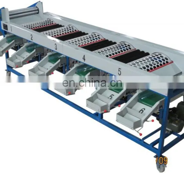 Orange Sorting Machine Apple Grading Machine photo-4