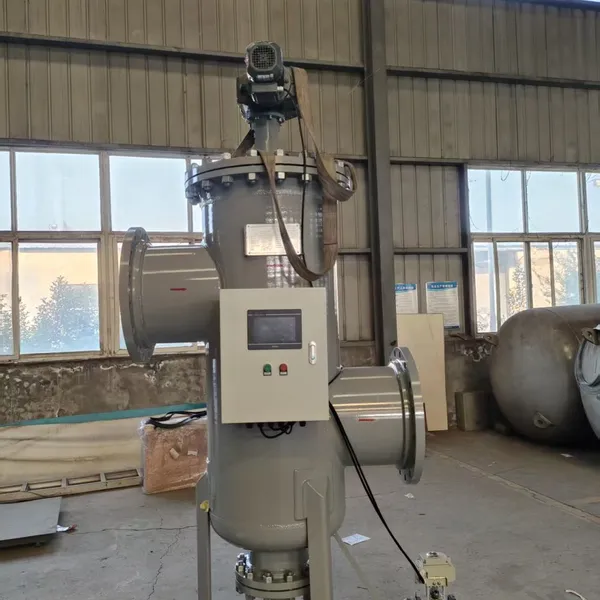 Vertical Self-cleaning Strainer photo-2