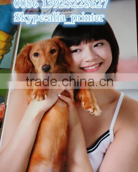 Economic Model High Speed Digital KM1024i Head Hybrid PET/PVC/PP uv Printer 6 Pcs Heads photo-2
