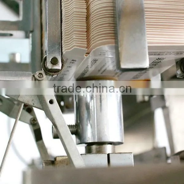 Totally Automatic Cartoning Machine, Cartoner for Packing Line, Cartong Machine photo-4