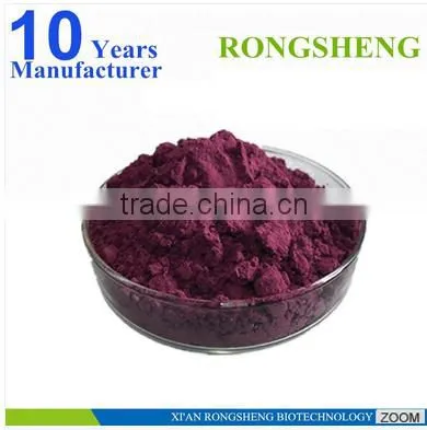 Hot Sale Freeze Dried Powder Organic Acai Berry photo-2