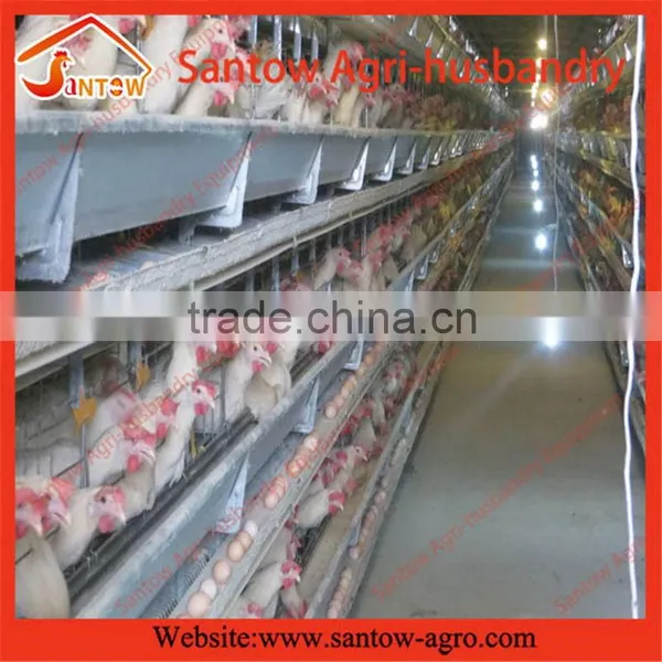 Stable Steel Structure Professional Chicken Egg Layer Cage Pakistan Poultry Farm photo-3