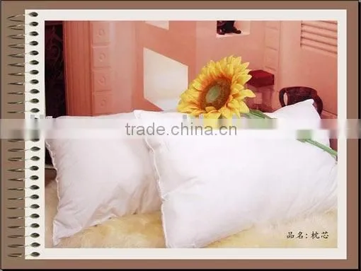 Down Proof Fabric & Silk Cotton Pillow