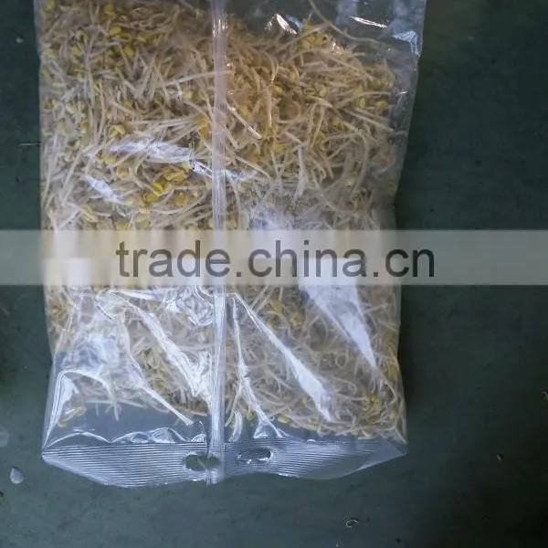 Automatic Vegetable Packaging Machine