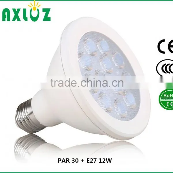 Led PAR Light PAR 30 SMD12W photo-2
