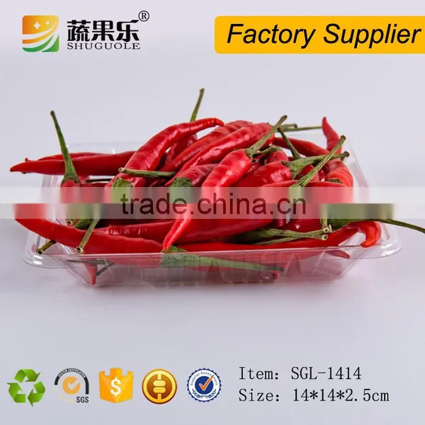 Fruit Plastic Packaging Blueberry Blister Container Tray photo-2