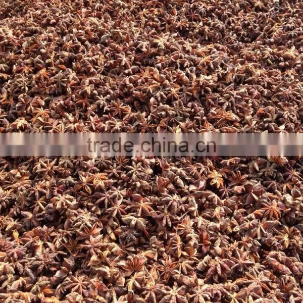 VIETNAM HIGH QUALITY AUTUMN STAR ANISE