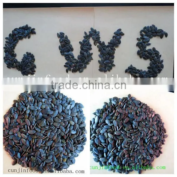 China GWS Pumpkin Seeds photo-2