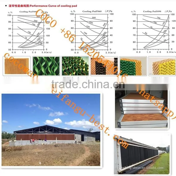 Broiler Poultry Farm Equipment Automatic Silo/Feeding/Drinking/Fan/Cooling Pad/Heater/Controller System for Farming Chickens photo-5
