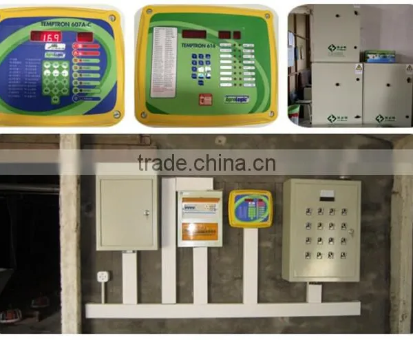 Poultry Farm Equipment for Breeder photo-6