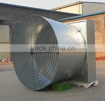 Prefabricated Chicken Poultry Broiler House and Automatic Equipment photo-4