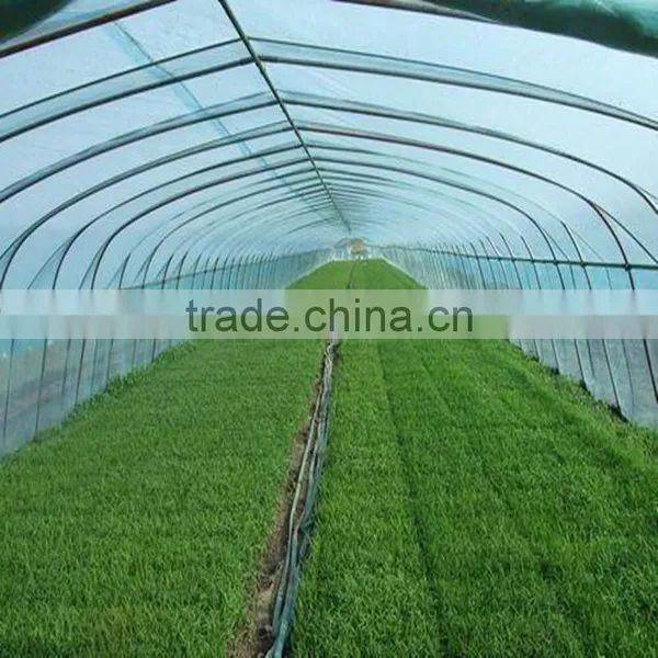 Vegetable Greenhouse Polycarbonate Sheet Fim photo-2