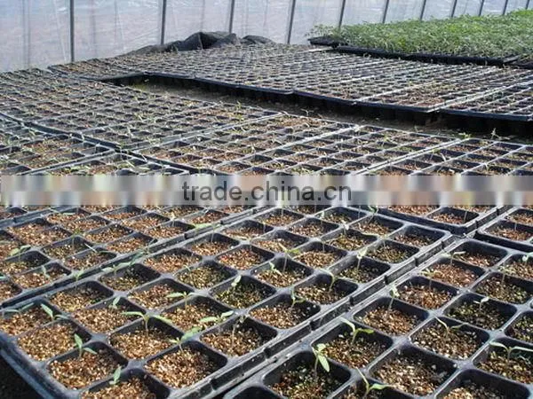 Newest Top Quality Hydroponic Rice Seedling Tray photo-2