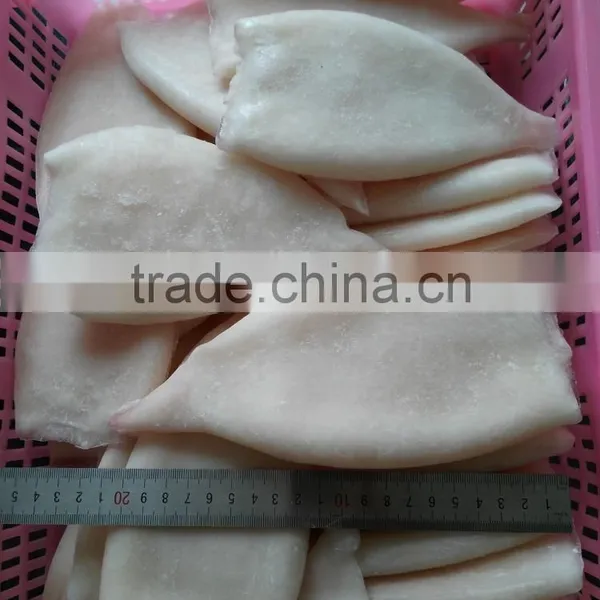 Frozen Fresh New Produced U5 Squid Tube photo-4