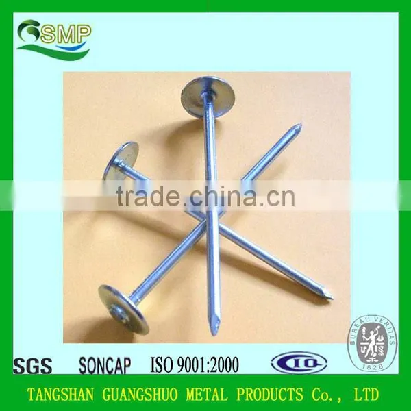 Hot Sale Galvanized Umbrella Roofing Nail 2.5" China Supplier Umbrella Head Roofing Nails photo-4