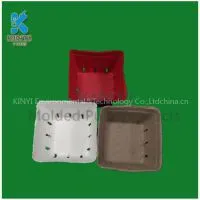 Disposable Biodegradable Fresh Fruit Packaging Box, Paper Pulp Molded