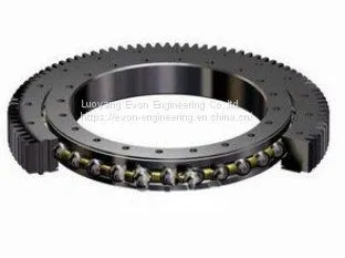Rks. 302070202001 Slewing Drive Slewing Bearing for Truck Mounted Crane photo-3