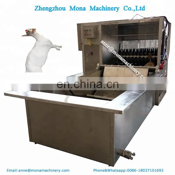 Hair Removal Machine for Sheep Goat Pig de Hairing Machine With Water Tank photo-4