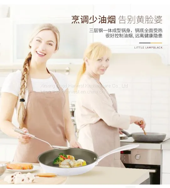 Pan Non-stick Pans DuPont Nonstick Coating Pan Pan Try-ply Stainless Steel Fry Pan