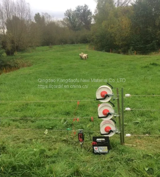 (electric Fence) Electric Poly Tape Width 40mm for Horses in Brazil photo-5