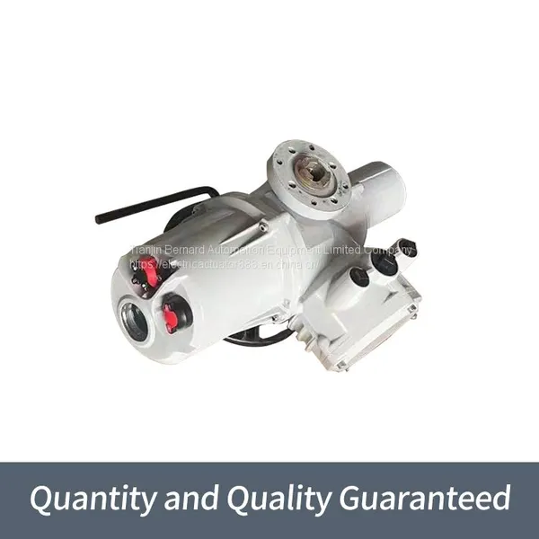Rotoque Multi Turn Gate Valves Are Split High Temperature Resistant Actuators photo-3