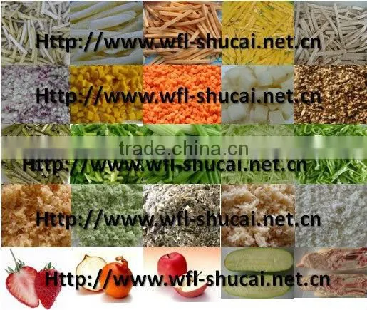 Vegetable And Fruit Mixer/ Vegetable Mixer photo-2